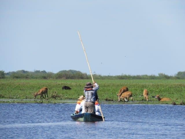 Aventura en el Portal San Nicolás